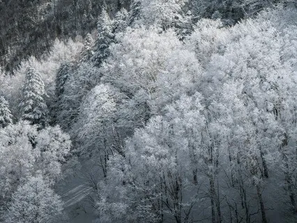 Sonic Prayer - White Flag Of Faith