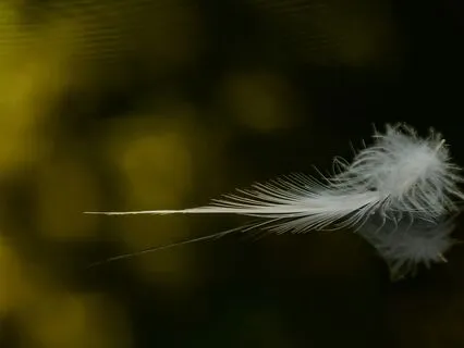 Sonic Sleep: Isolation Floating Tank Bliss