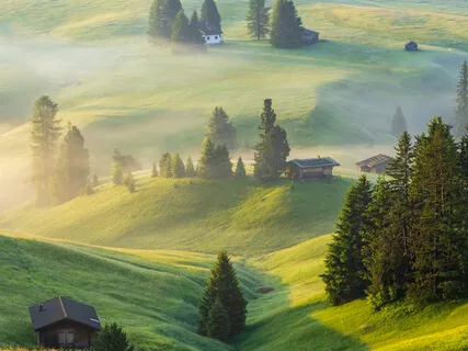 Sonic Sunday: Coping With Quarantine