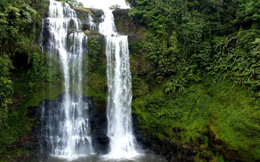 Sonido Blanco Naturaleza Binaural 8D (White Noise Nature)