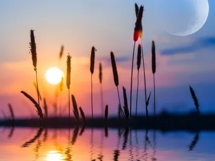 Sonidos de Apertura Hacia la Luz del Ser