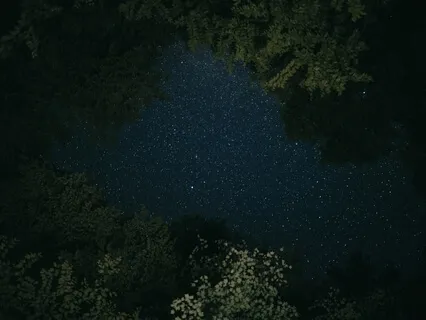 Сонные Грёзы