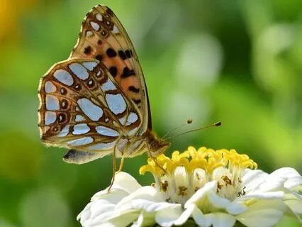 Soothe And Clear Your Mind