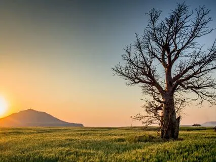 Soothe Anxiety & Feel Safe | Talk + Guided Relaxation