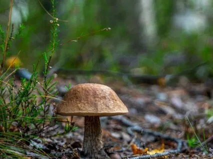 Soothe Migraine And Headache With 432Hz