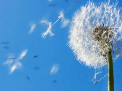 Soothe The Nervous System: One Breath At A Time