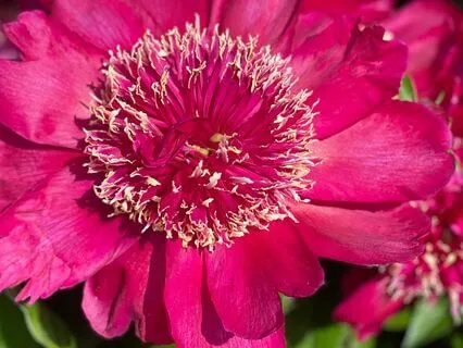 Soothe Your Inner Child