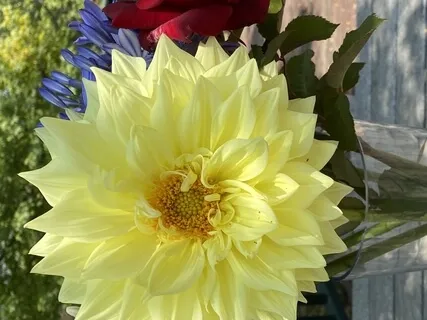 Soothe Your Nervous System