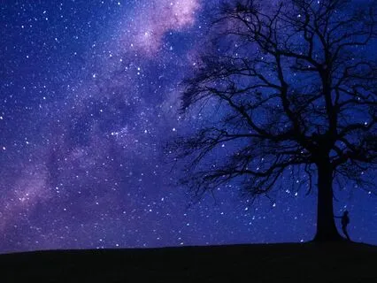 Soothe Your Mind : Music For Deep Relaxation