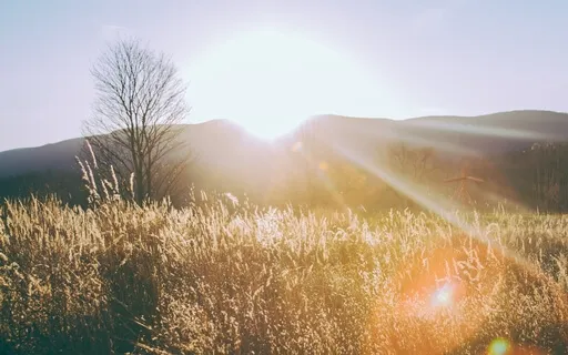 Soothing 4 Minute Piano Meditation