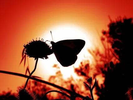 Soothing AC   |  Brown Noise Collection