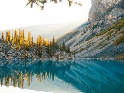 Soothing Acoustic Vibes: Gentle And Cozy Tunes