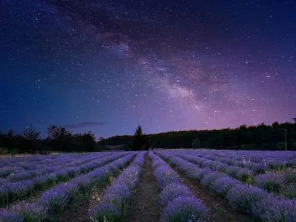 Soothing Affirmations To Fall Asleep | Delta Waves | 2 Hours