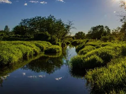 Soothing Ambient Music & Nature Sounds For Meditation/Rest