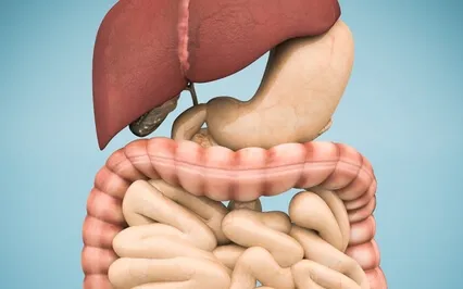 Soothing & Cleansing Your Digestive System