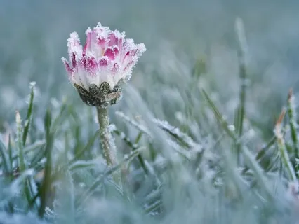 Soothing And Relaxing Music  - Cleansing Crystals