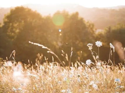 Soothing & Releasing Anxiety