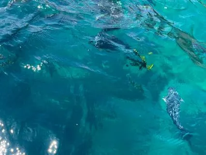 Soothing Anxiety | Gentle Reminders Of Safety & Presence