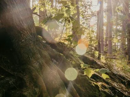 Soothing Anxiety: Grounding The Mind And Body In Calm