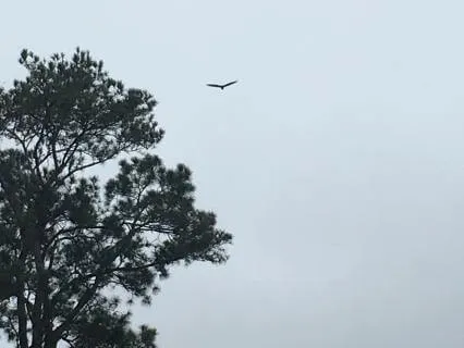 Soothing Anxiety Meditation