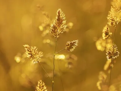 Soothing Breath Of Light For Sleep