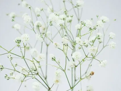 Soothing Breath Practice: Alternate Nostril Breathing