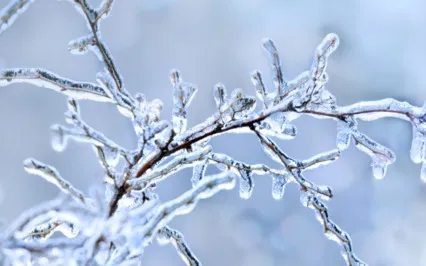 Soothing Breath Practice With Movement And Visualisation