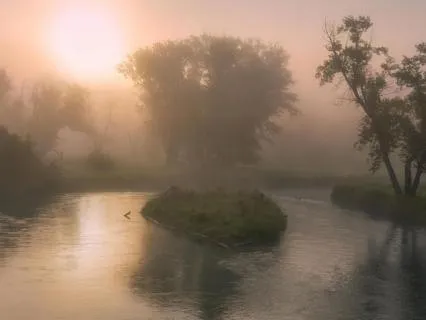 Soothing Breathwork Practice To Calm The Nervous System