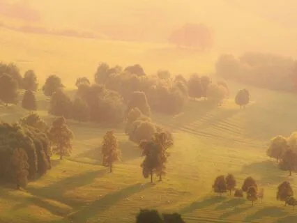 Soothing Burnout – A Gentle Space To Rest