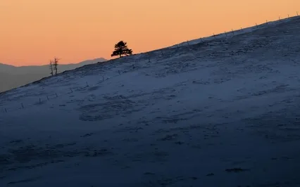 Soothing Deep Sleep Music - Slow Ambient