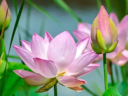 Soothing Discomfort: Dismantle False Expectations