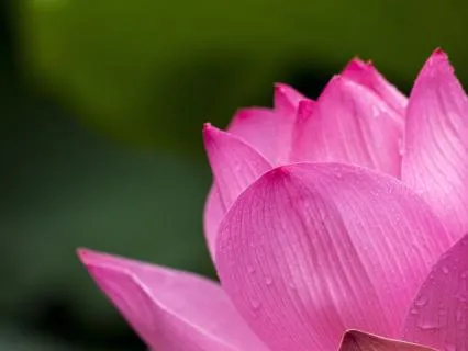 Soothing Discomfort: Rekindle Relationship With Your Body