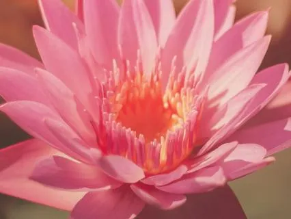 Soothing Discomfort: Seeding Beauty In Your Daily Life