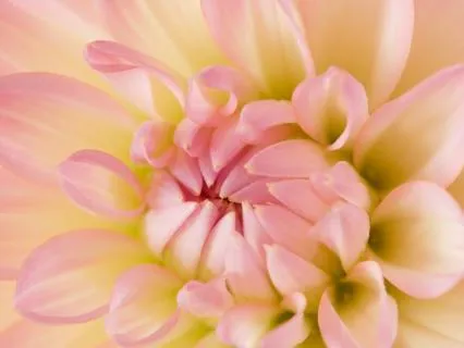 Soothing Discomfort: Soothing Love & Tenderness In Your Body