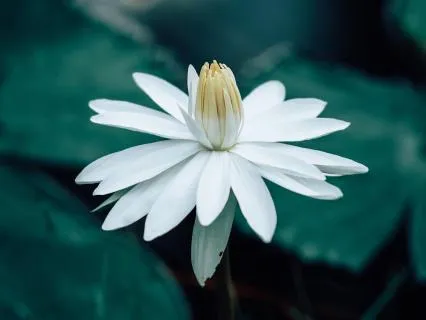 Soothing Discomfort: Unravel Your Inner & Outer Discomforts