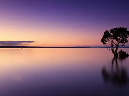 Soothing EMDR Music To Calm Your Nervous System