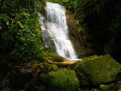 Soothing Emotions With Water Elemental Healing