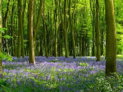 Soothing Exercise For Reframing Difficult Experiences