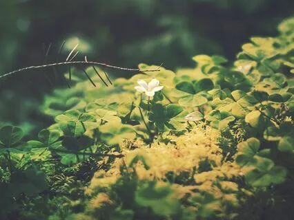 Soothing Flow: Melt Away Tension