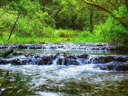 Soothing Forest Creek Sound For Enchanting Relaxation
