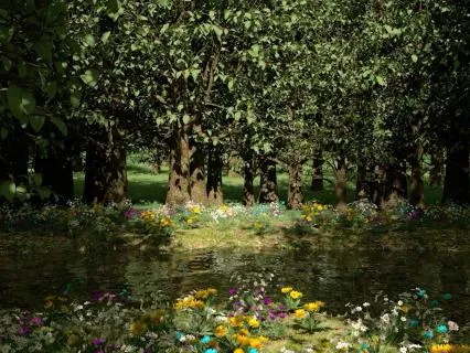 Soothing Forest Pond for Calming Relaxation