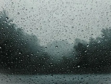 Soothing Forest Rain For Sleep - 60 minutes