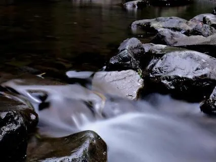 Soothing Forest Stream And Birdsong (1 Hour Version)