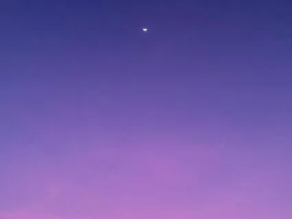 Soothing Guitar Dreams: Early Morning Bliss