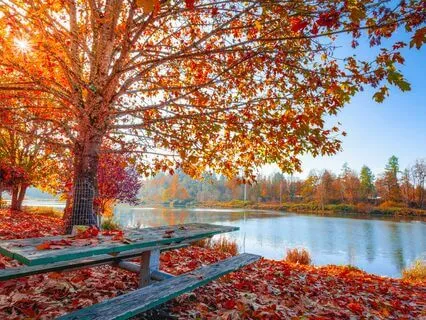 Soothing Guitar With Bright Summer