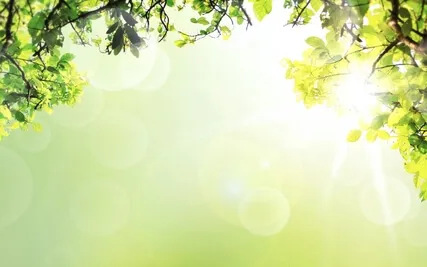 Soothing Harp Melodies: Calm Music for Sleep, Meditation, Sp