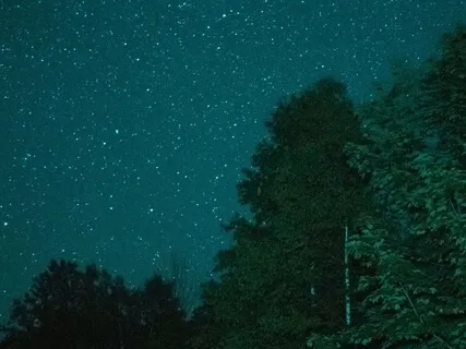 Soothing Instrumental Music