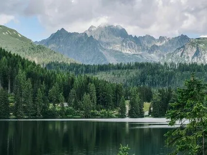 Soothing Lake Ripples