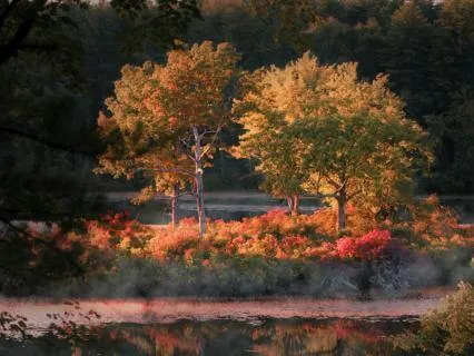 Soothing Meditation For Nervous System Dysregulation