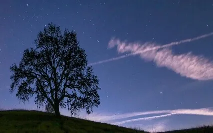 Soothing Minded Relaxation - Deep Love